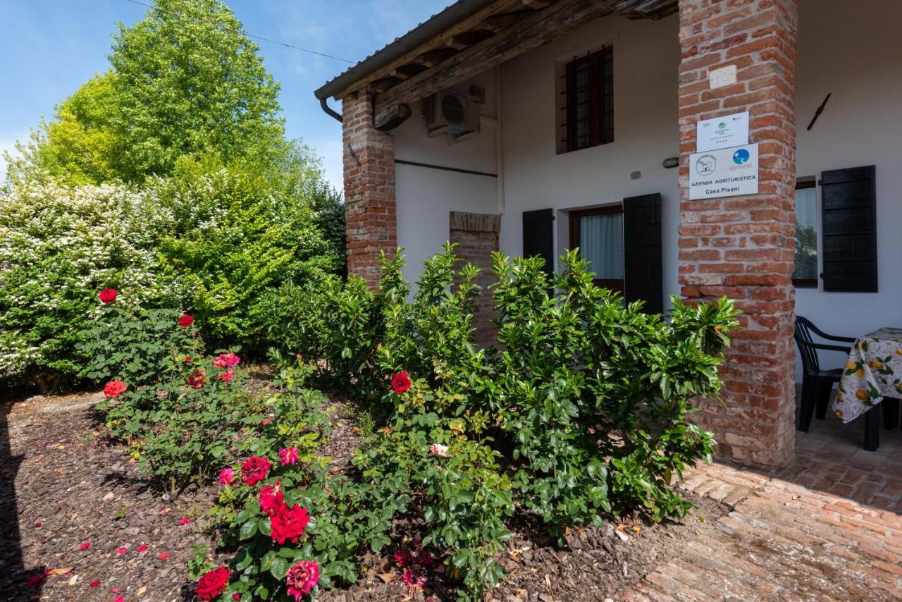 Country House Viaro_150Sqm Vanzo Exterior photo