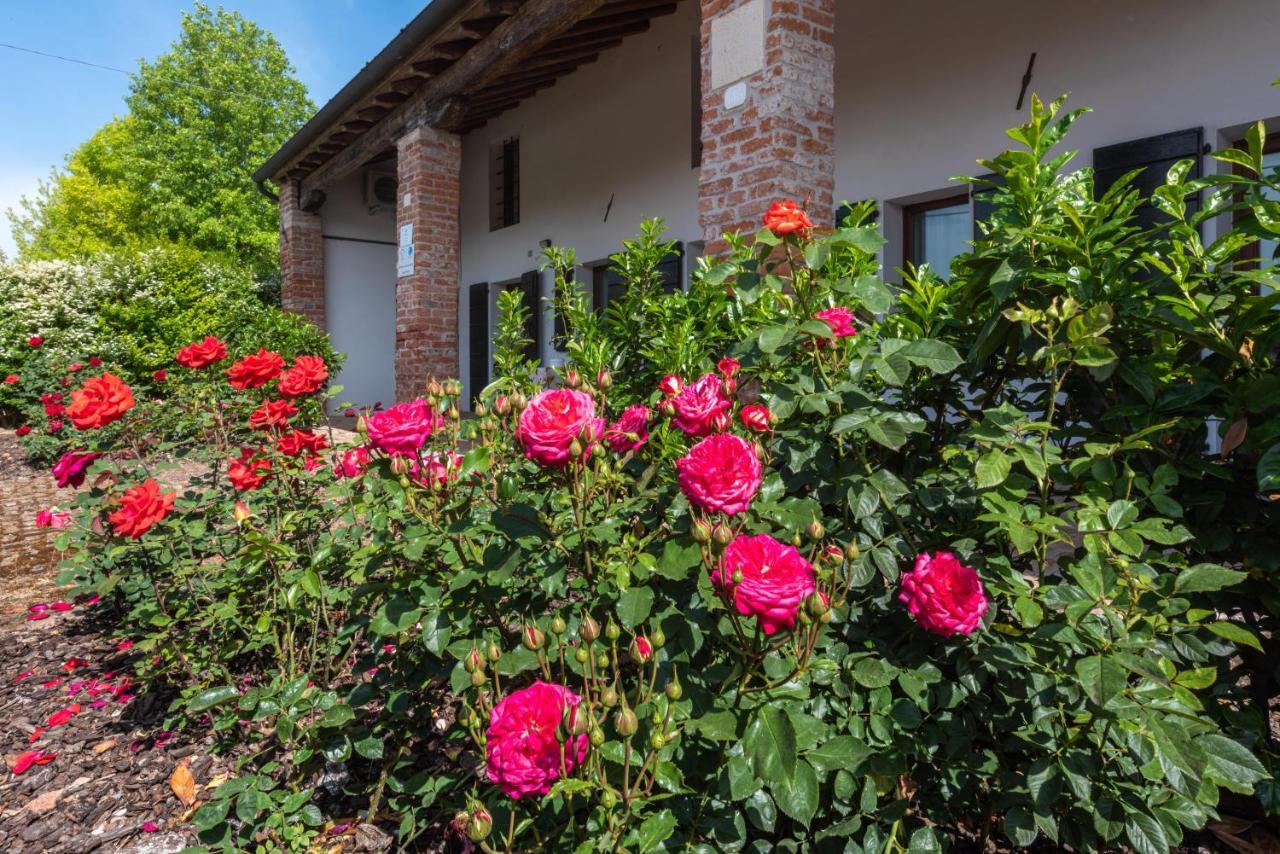Country House Viaro_150Sqm Vanzo Exterior photo